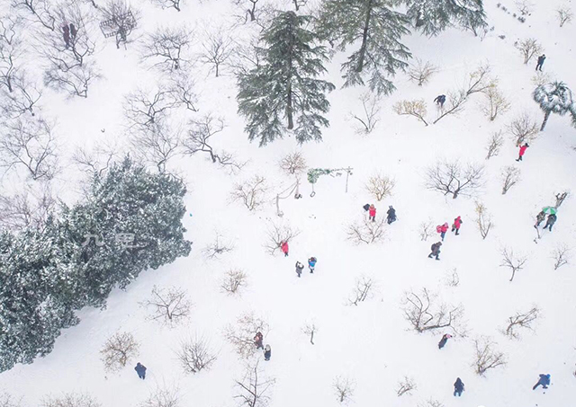 东湖之雪十年遇，武汉美博会带你进入“琉璃世界”三